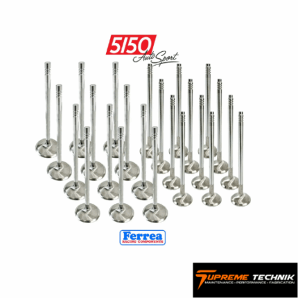 Ferrea High Performance Valve Spring Kit, BMW / Toyota B58